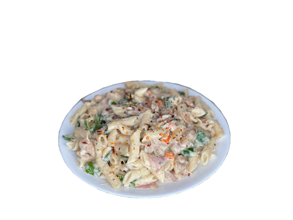 پاستا با سس آلفردو با دوغ ( ویژه دبستان )